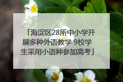 海淀区28所中小学开展多种外语教学 9校学生采用小语种参加高考