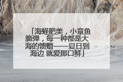 海蛏肥美，小章鱼脆弹，每一种都是大海的馈赠——夏日到海边 就爱那口鲜