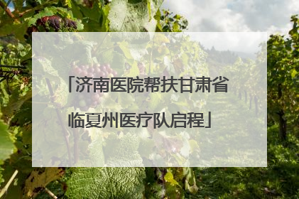 济南医院帮扶甘肃省临夏州医疗队启程