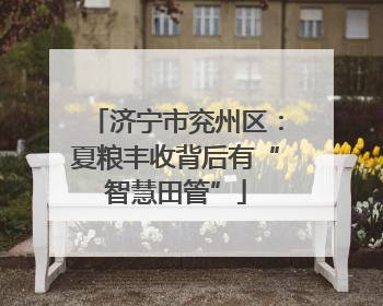 济宁市兖州区：夏粮丰收背后有“智慧田管”