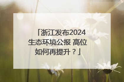 浙江发布2024生态环境公报 高位如何再提升？
