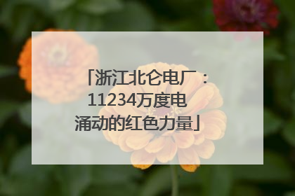 浙江北仑电厂：11234万度电涌动的红色力量