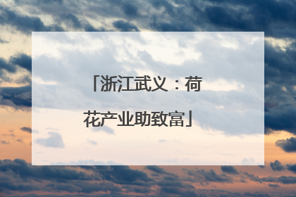 浙江武义：荷花产业助致富