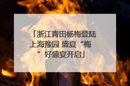 浙江青田杨梅登陆上海豫园 盛夏“梅”好盛宴开启