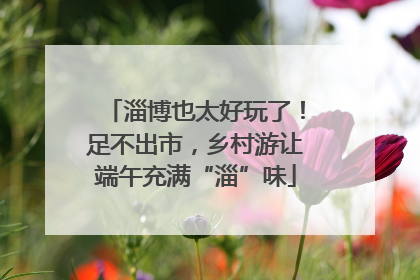 淄博也太好玩了！足不出市，乡村游让端午充满“淄”味