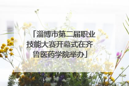 淄博市第二届职业技能大赛开幕式在齐鲁医药学院举办