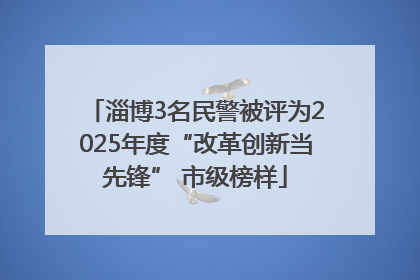 淄博3名民警被评为2025年度“改革创新当先锋” 市级榜样