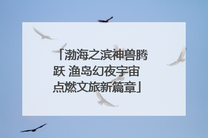 渤海之滨神兽腾跃 渔岛幻夜宇宙点燃文旅新篇章