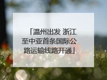温州出发 浙江至中亚首条国际公路运输线路开通