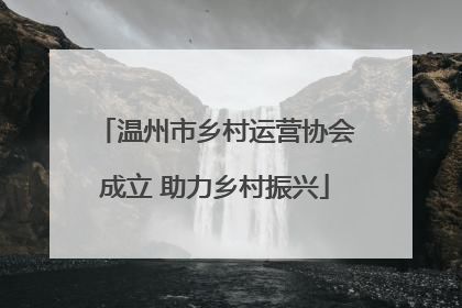 温州市乡村运营协会成立 助力乡村振兴