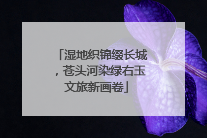 湿地织锦缀长城，苍头河染绿右玉文旅新画卷