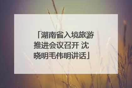 湖南省入境旅游推进会议召开 沈晓明毛伟明讲话