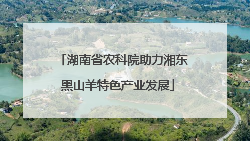 湖南省农科院助力湘东黑山羊特色产业发展