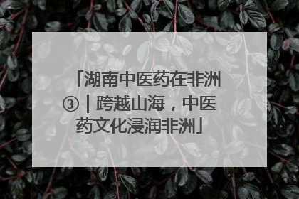 湖南中医药在非洲③｜跨越山海，中医药文化浸润非洲