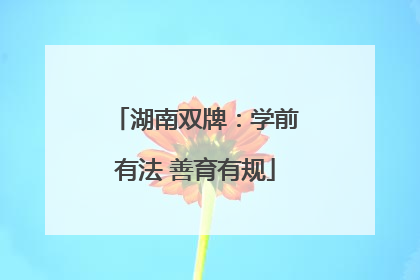 湖南双牌：学前有法 善育有规
