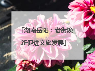 湖南岳阳：老街焕新促进文旅发展
