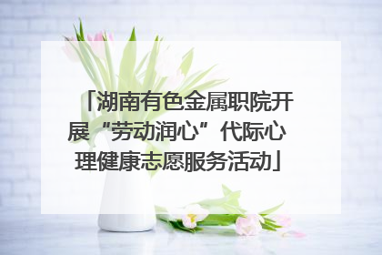 湖南有色金属职院开展“劳动润心”代际心理健康志愿服务活动