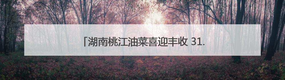 湖南桃江油菜喜迎丰收 31.24万亩油菜预计增产7.4%