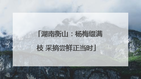 湖南衡山：杨梅缀满枝 采摘尝鲜正当时