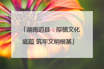 湖南道县：厚植文化底蕴 筑牢文明根基