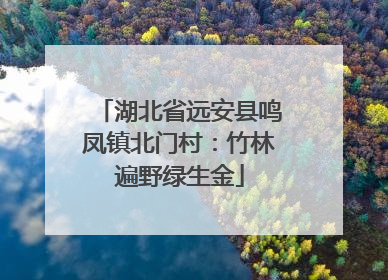 湖北省远安县鸣凤镇北门村：竹林遍野绿生金