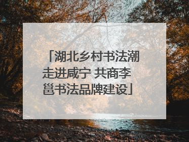 湖北乡村书法潮走进咸宁 共商李邕书法品牌建设