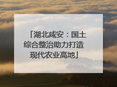 湖北咸安：国土综合整治助力打造现代农业高地