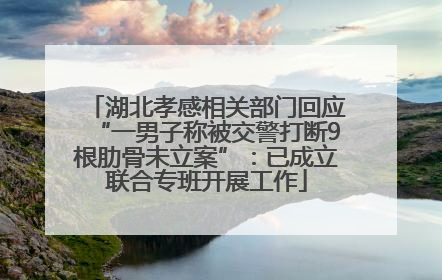 湖北孝感相关部门回应“一男子称被交警打断9根肋骨未立案”：已成立联合专班开展工作