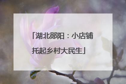 湖北郧阳：小店铺托起乡村大民生