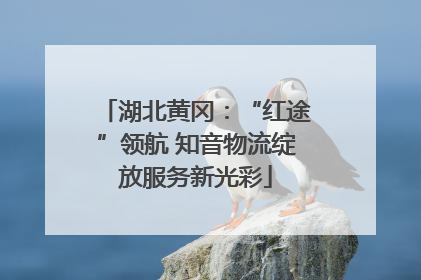 湖北黄冈：“红途”领航 知音物流绽放服务新光彩