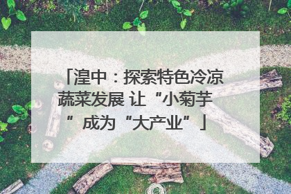 湟中：探索特色冷凉蔬菜发展 让“小菊芋”成为“大产业”