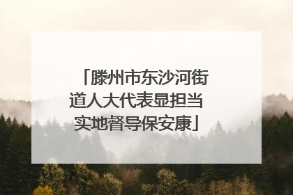 滕州市东沙河街道人大代表显担当实地督导保安康