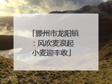 滕州市龙阳镇：风吹麦浪起 小麦迎丰收