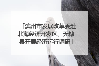 滨州市发展改革委赴北海经济开发区、无棣县开展经济运行调研
