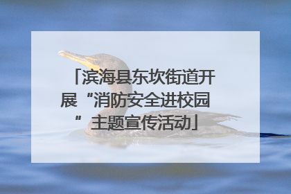 滨海县东坎街道开展“消防安全进校园”主题宣传活动