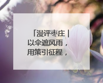 漫评枣庄｜以伞遮风雨，用策引征程，枣庄诚邀英才共赴山海！