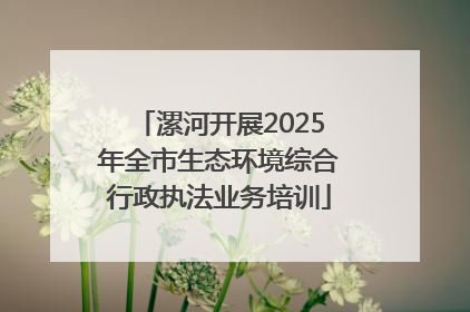漯河开展2025年全市生态环境综合行政执法业务培训