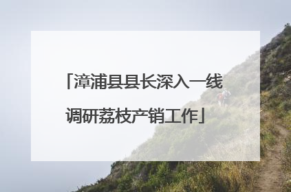 漳浦县县长深入一线调研荔枝产销工作