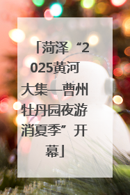 菏泽“2025黄河大集—曹州牡丹园夜游消夏季”开幕