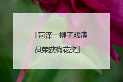 菏泽一柳子戏演员荣获梅花奖