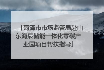 菏泽市市场监管局赴山东海辰储能一体化零碳产业园项目帮扶指导
