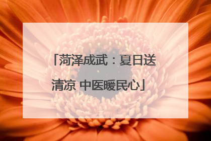 菏泽成武：夏日送清凉 中医暖民心