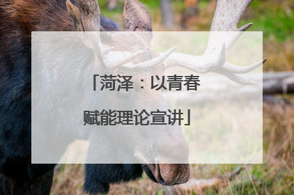 菏泽：以青春赋能理论宣讲