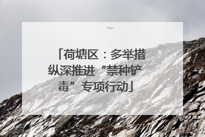 荷塘区：多举措纵深推进“禁种铲毒”专项行动