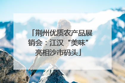 荆州优质农产品展销会：江汉“美味”亮相沙市码头