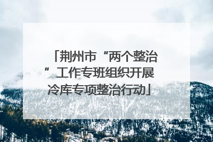 荆州市“两个整治”工作专班组织开展冷库专项整治行动