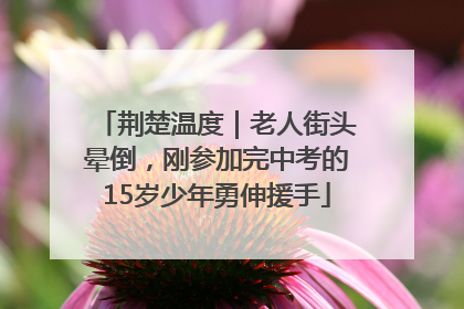 荆楚温度｜老人街头晕倒，刚参加完中考的15岁少年勇伸援手