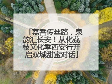 荔香传丝路，泉韵汇长安！从化荔枝文化季西安行开启双城甜蜜对话