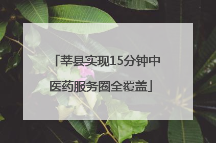莘县实现15分钟中医药服务圈全覆盖