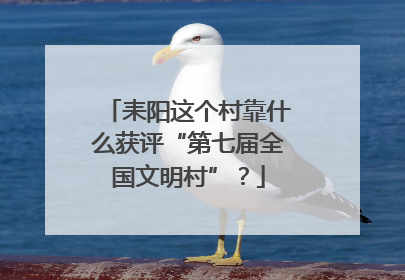 耒阳这个村靠什么获评“第七届全国文明村”？